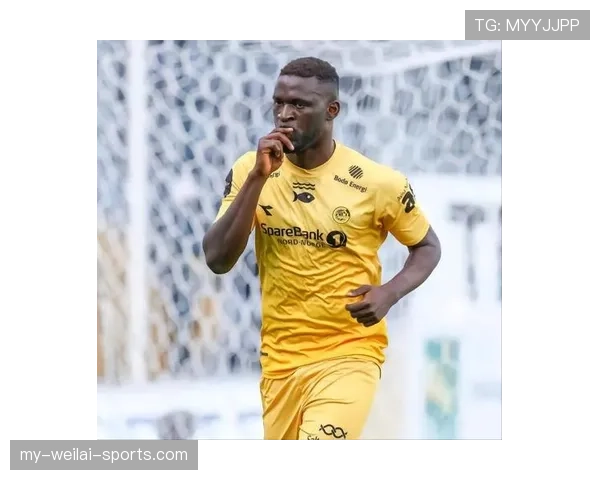 博尼法斯身体对抗优势如何支撑其本赛季稳健表现？